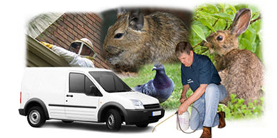 Swadlincote local van